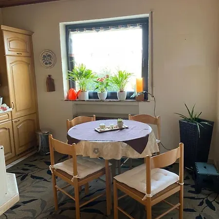 Haus Willi Apartment *